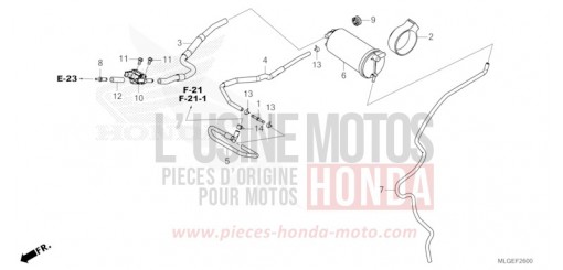 CUVETTE CRF1100DP de 2023